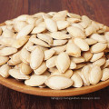 Pumpkin seed kernel rich in fats